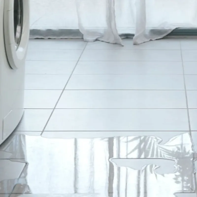 Appliance Leak Cleanup in Reynolds, GA