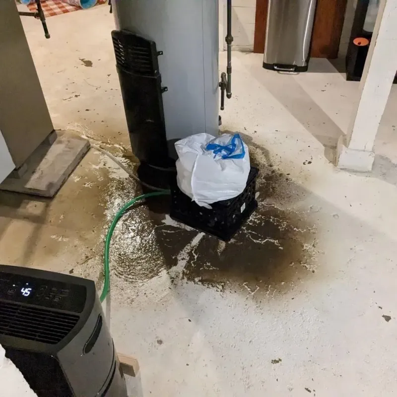 Sewage Backup Cleanup Service in Reynolds, GA